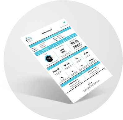 Nu Score Dashboard Illustration